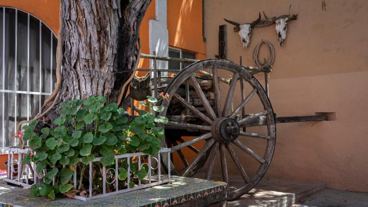 Hotel Posada Bugambilias San Luis Potosí Buitenkant foto